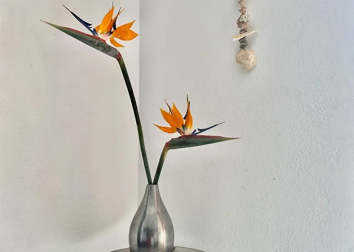 Creativa Country house *